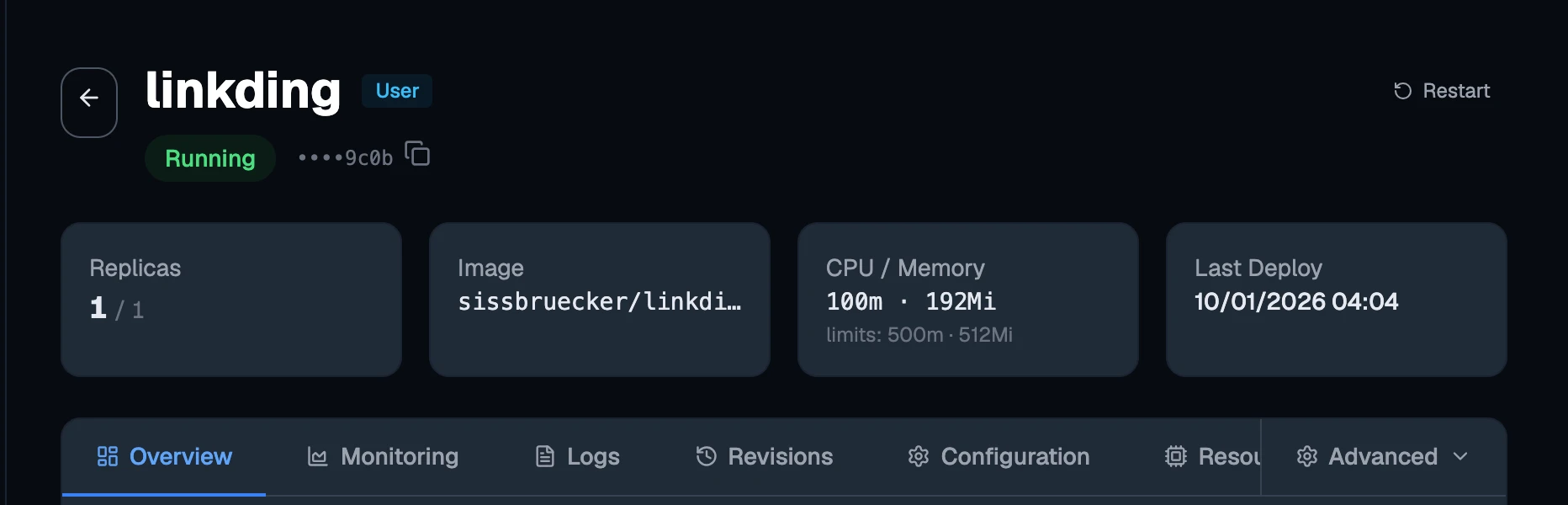 An application's header: its state, the summary tiles, Restart, and the row of tabs.