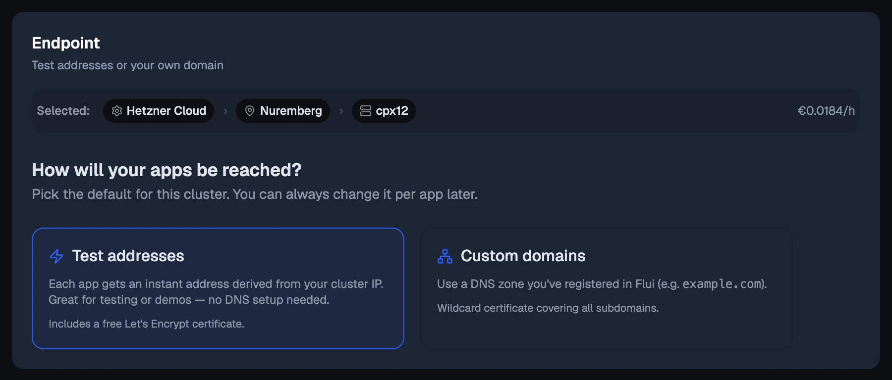 The Endpoint step: test addresses or custom domains.
