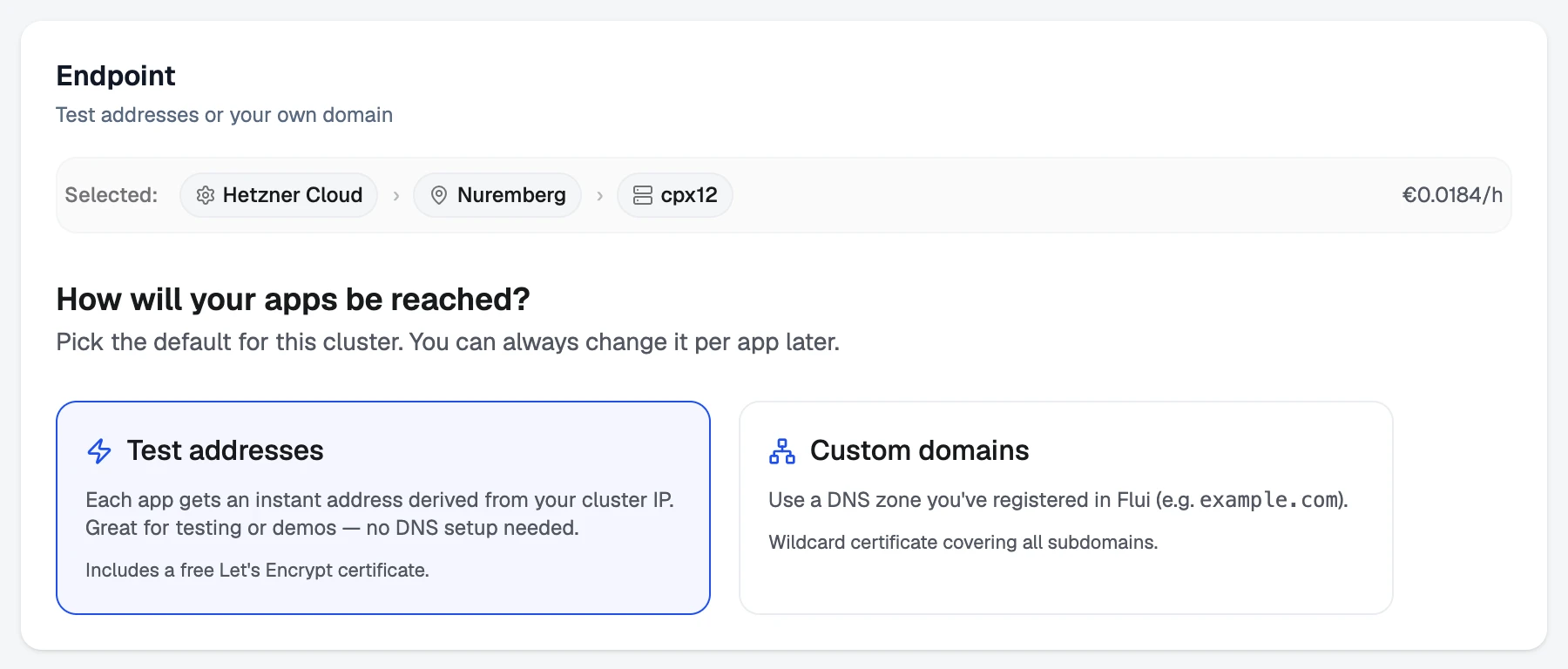 The Endpoint step: test addresses or custom domains.