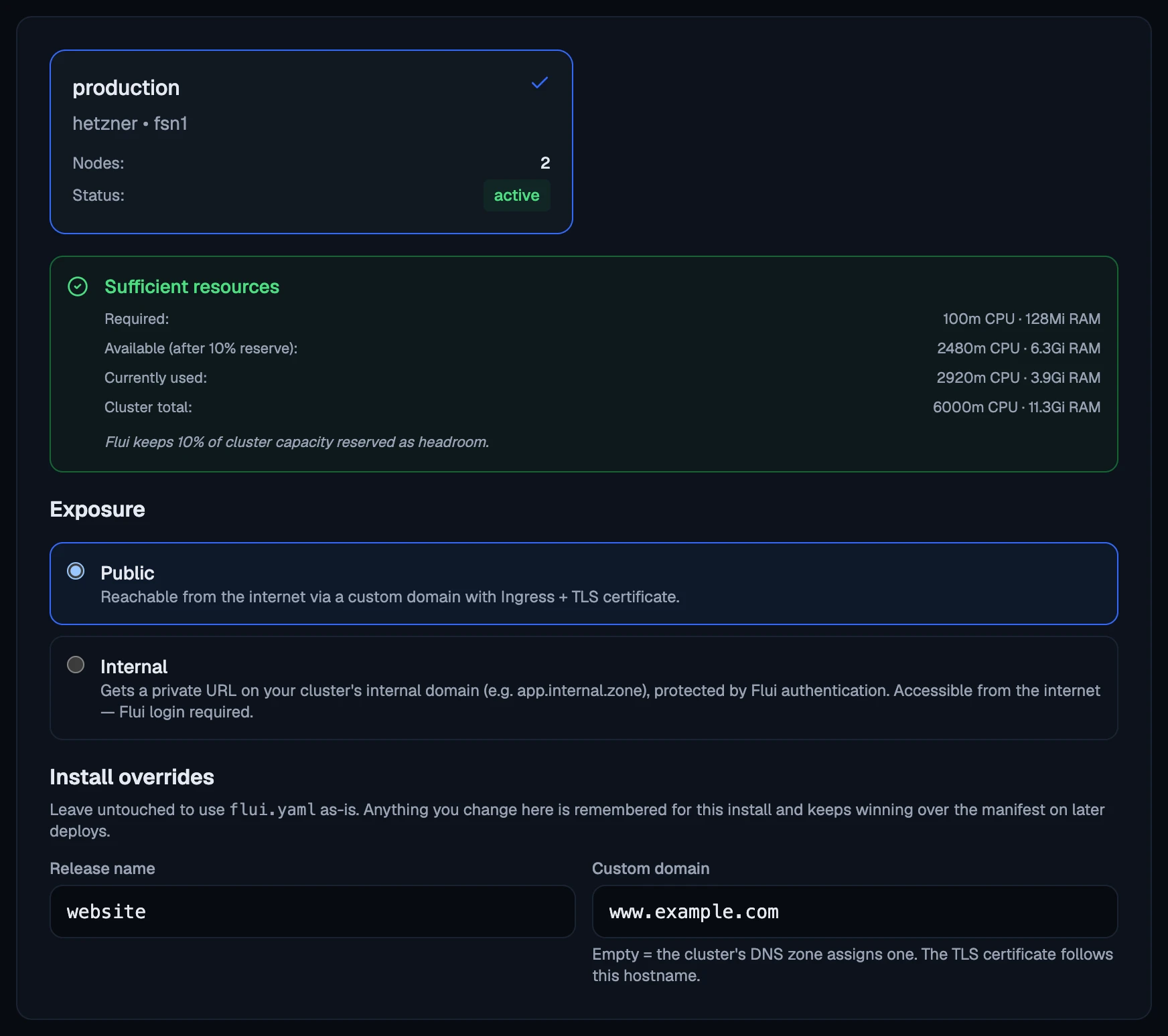 The Cluster step: the chosen cluster, its free room, the exposure, and the install overrides.