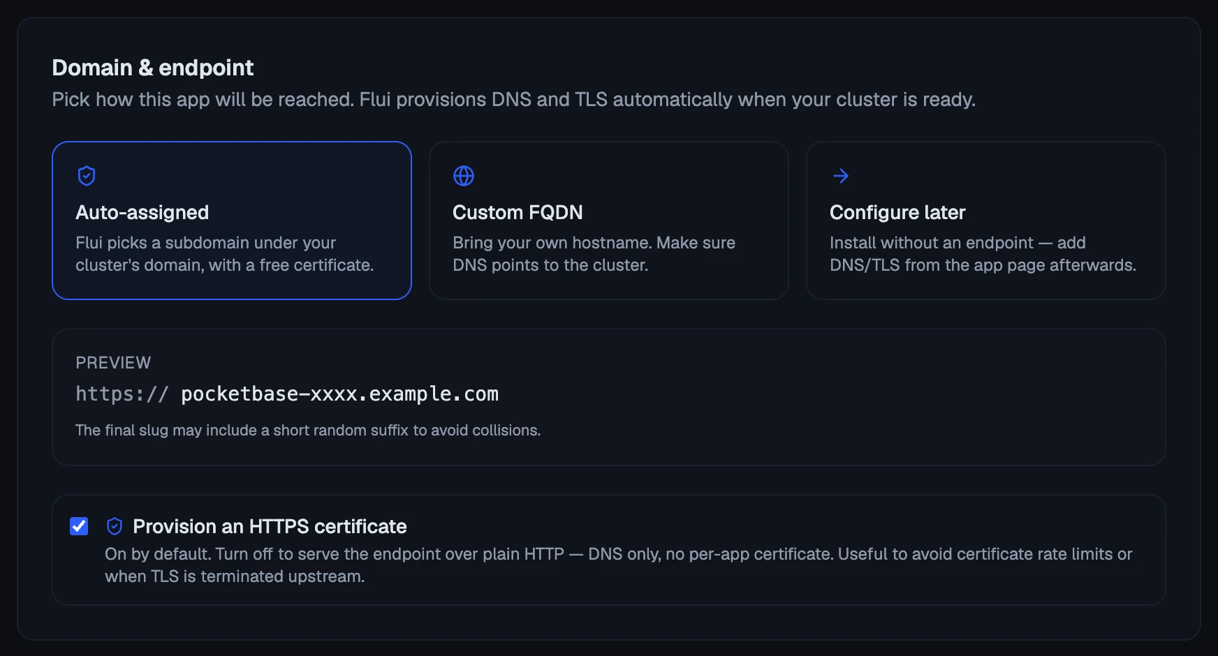 The Domain step: an address assigned by the cluster, your own hostname, or none for now.