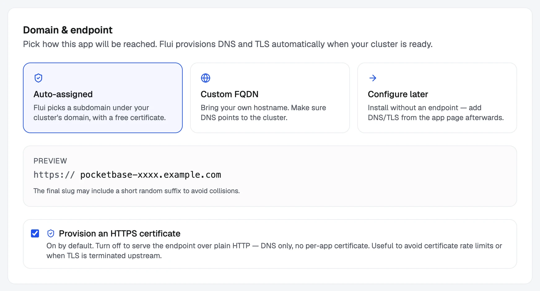 The Domain step: an address assigned by the cluster, your own hostname, or none for now.